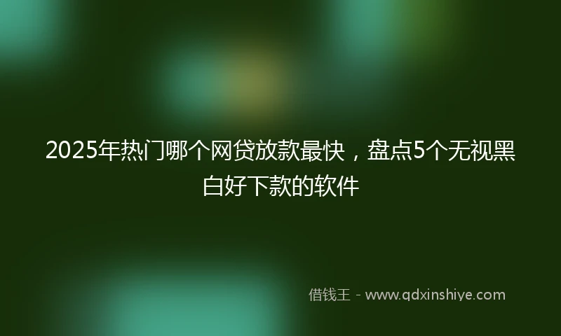 2025年热门哪个网贷放款最快，盘点5个无视黑白好下款的软件