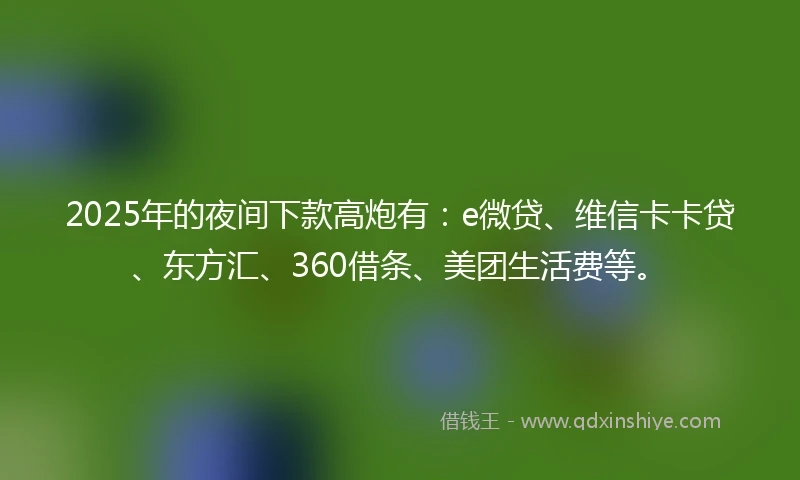 2025年的夜间下款高炮有：e微贷、维信卡卡贷、东方汇、360借条、美团生活费等。