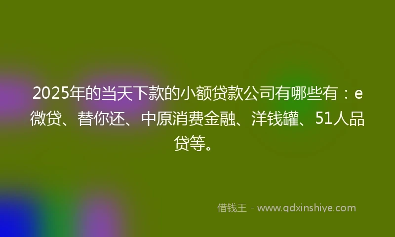 2025年的当天下款的小额贷款公司有哪些有：e微贷、替你还、中原消费金融、洋钱罐、51人品贷等。