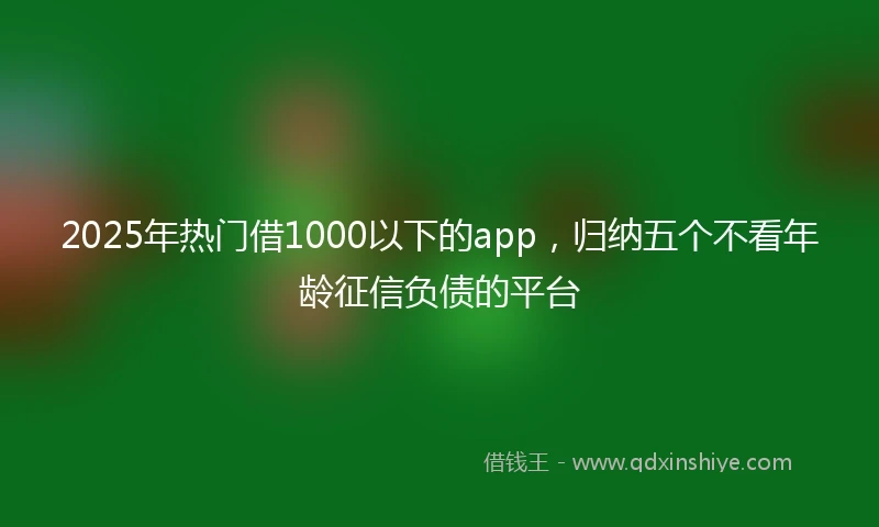 2025年热门借1000以下的app，归纳五个不看年龄征信负债的平台