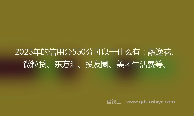 2025年的信用分550分可以干什么有：融逸花、微粒贷、东方汇、投友圈、美团生活费等。