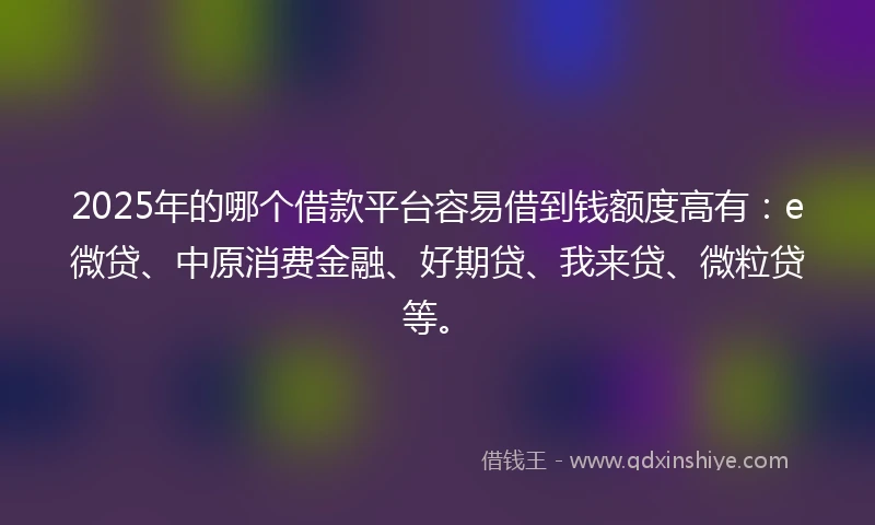 2025年的哪个借款平台容易借到钱额度高有：e微贷、中原消费金融、好期贷、我来贷、微粒贷等。