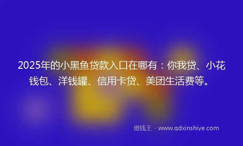 2025年的小黑鱼贷款入口在哪有：你我贷、小花钱包、洋钱罐、信用卡贷、美团生活费等。