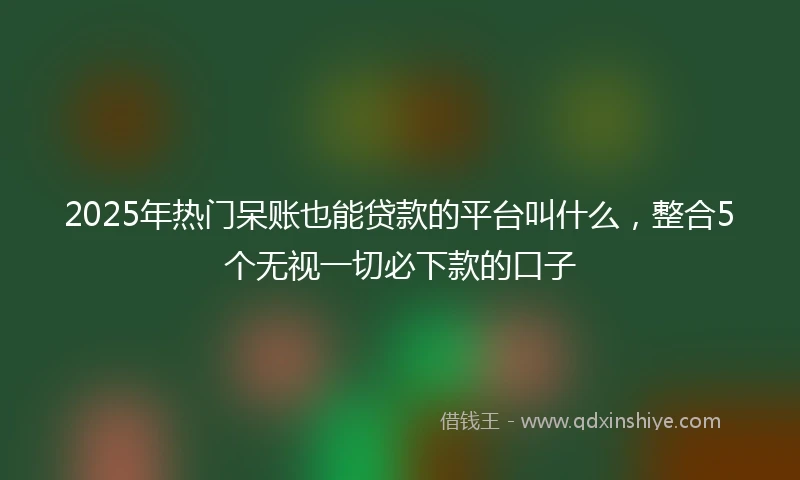 2025年热门呆账也能贷款的平台叫什么，整合5个无视一切必下款的口子