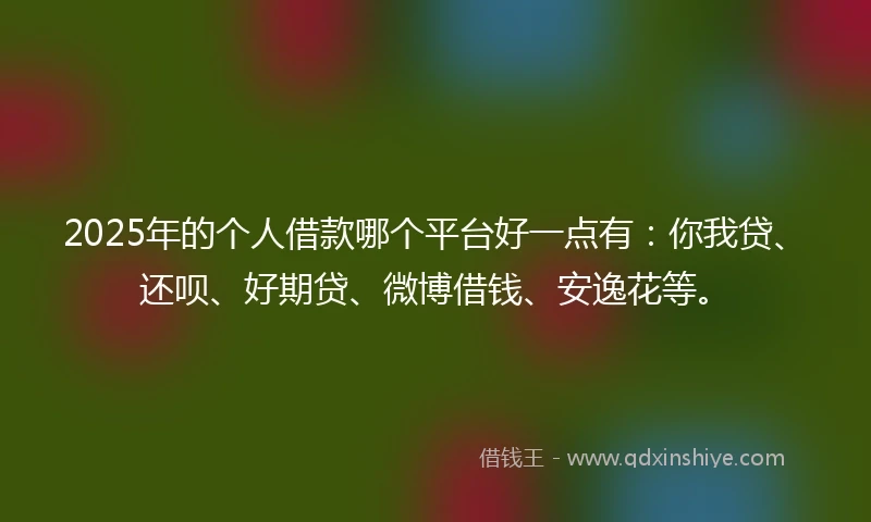 2025年的个人借款哪个平台好一点有：你我贷、还呗、好期贷、微博借钱、安逸花等。