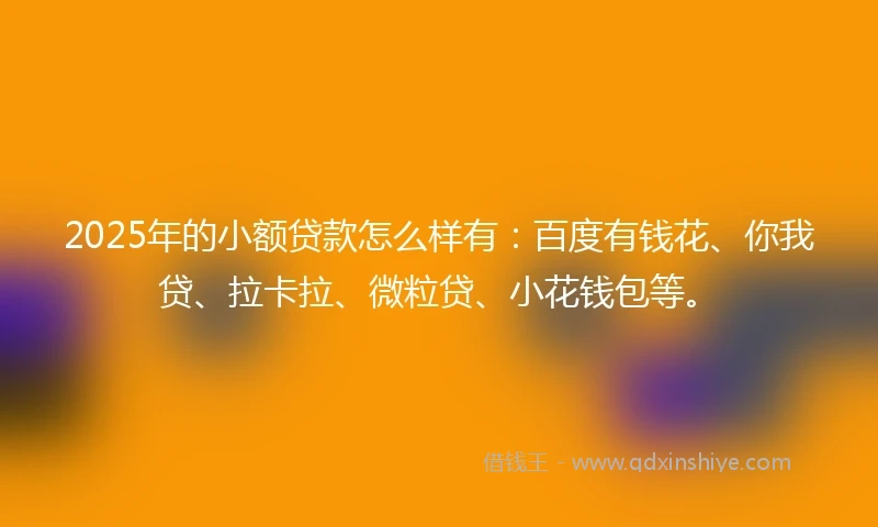 2025年的小额贷款怎么样有：百度有钱花、你我贷、拉卡拉、微粒贷、小花钱包等。