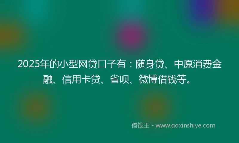 2025年的小型网贷口子有：随身贷、中原消费金融、信用卡贷、省呗、微博借钱等。