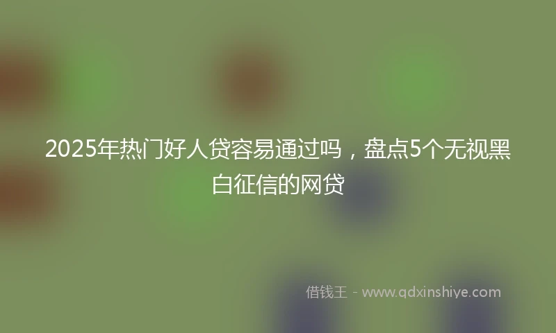 2025年热门好人贷容易通过吗，盘点5个无视黑白征信的网贷