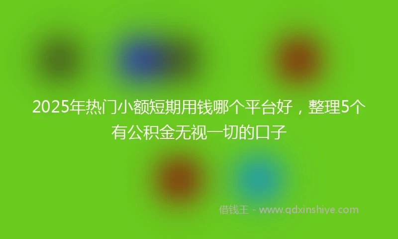 2025年热门小额短期用钱哪个平台好，整理5个有公积金无视一切的口子