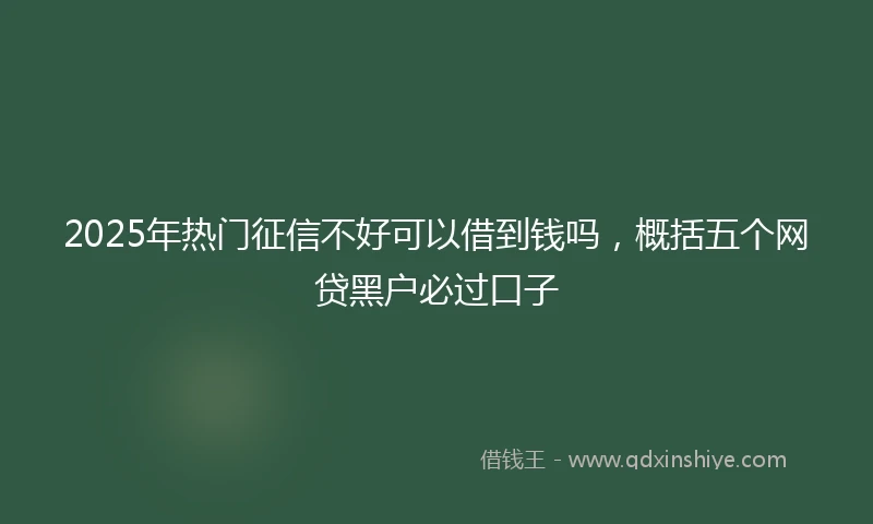 2025年热门征信不好可以借到钱吗，概括五个网贷黑户必过口子