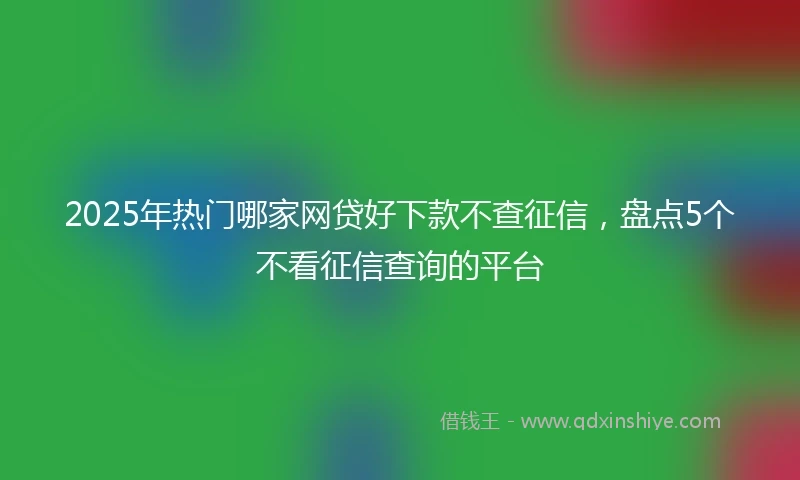 2025年热门哪家网贷好下款不查征信，盘点5个不看征信查询的平台