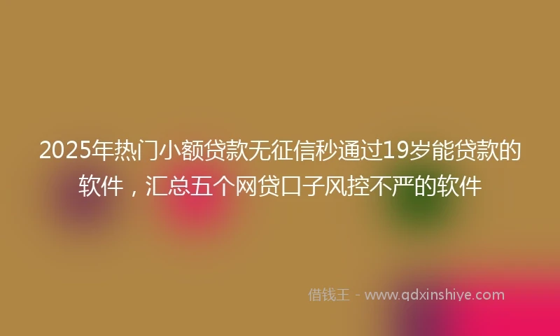 2025年热门小额贷款无征信秒通过19岁能贷款的软件，汇总五个网贷口子风控不严的软件