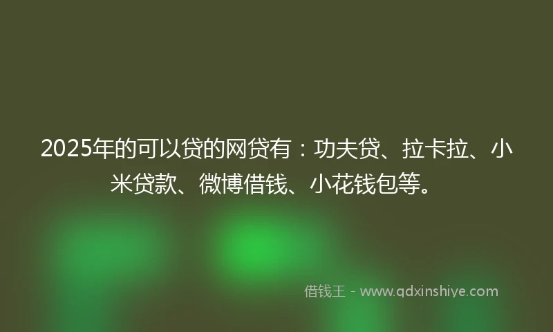 2025年的可以贷的网贷有：功夫贷、拉卡拉、小米贷款、微博借钱、小花钱包等。