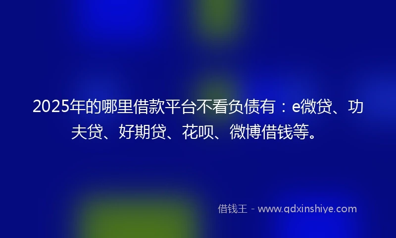 2025年的哪里借款平台不看负债有：e微贷、功夫贷、好期贷、花呗、微博借钱等。