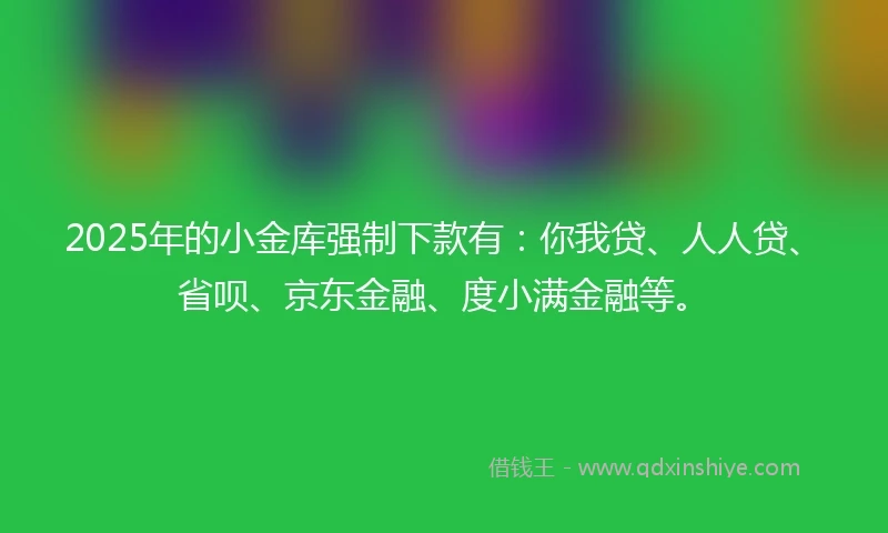 2025年的小金库强制下款有：你我贷、人人贷、省呗、京东金融、度小满金融等。
