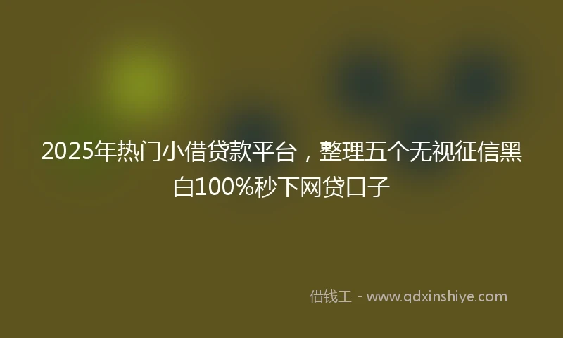 2025年热门小借贷款平台，整理五个无视征信黑白100%秒下网贷口子