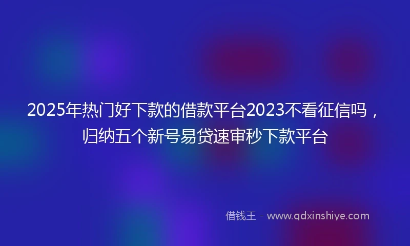 2025年热门好下款的借款平台2023不看征信吗，归纳五个新号易贷速审秒下款平台