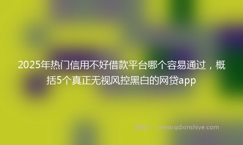 2025年热门信用不好借款平台哪个容易通过，概括5个真正无视风控黑白的网贷app