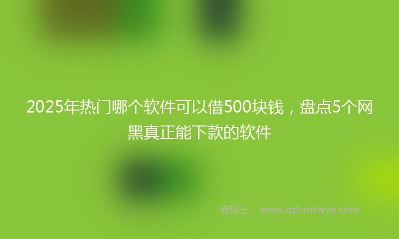 2025年热门哪个软件可以借500块钱，盘点5个网黑真正能下款的软件