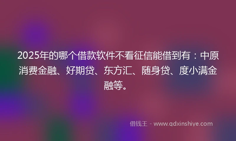 2025年的哪个借款软件不看征信能借到有：中原消费金融、好期贷、东方汇、随身贷、度小满金融等。