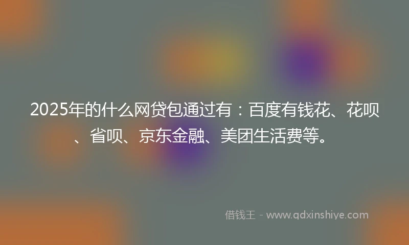 2025年的什么网贷包通过有：百度有钱花、花呗、省呗、京东金融、美团生活费等。