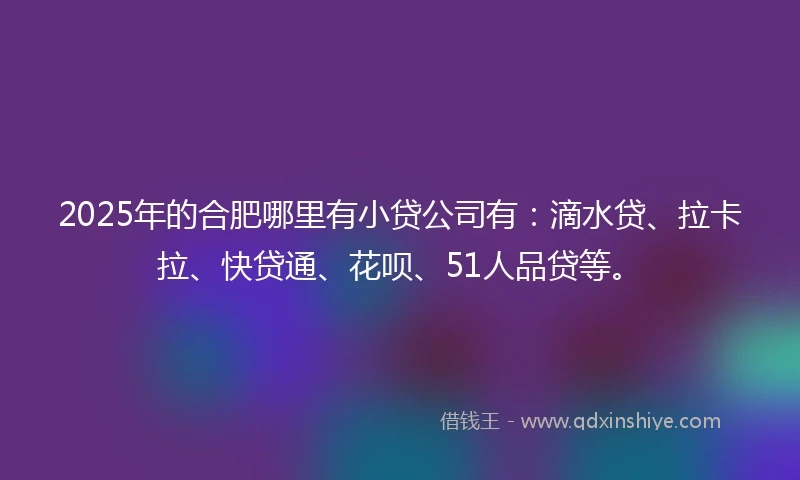 2025年的合肥哪里有小贷公司有：滴水贷、拉卡拉、快贷通、花呗、51人品贷等。