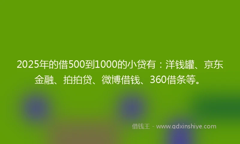 2025年的借500到1000的小贷有：洋钱罐、京东金融、拍拍贷、微博借钱、360借条等。