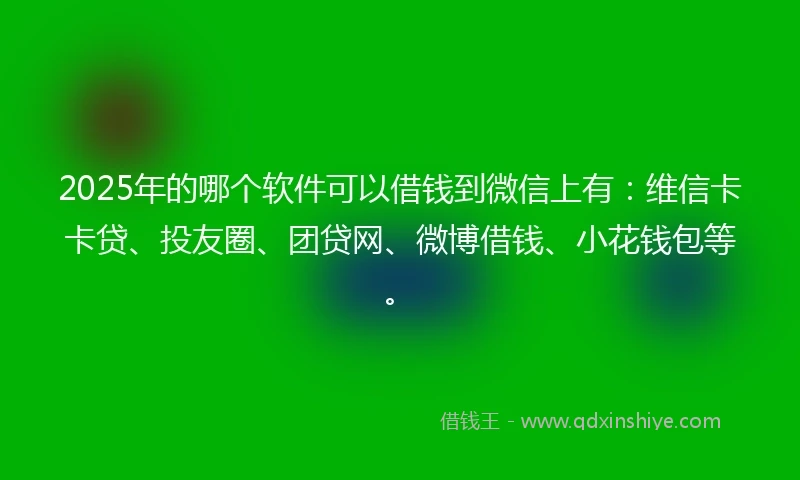 2025年的哪个软件可以借钱到微信上有：维信卡卡贷、投友圈、团贷网、微博借钱、小花钱包等。
