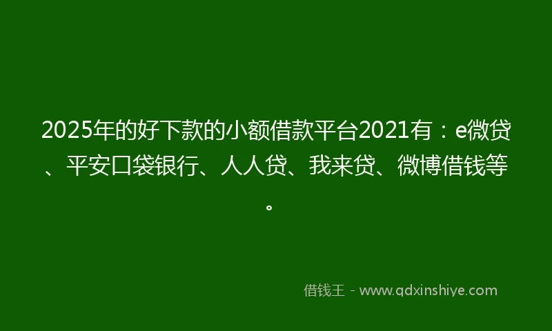 2025年的好下款的小额借款平台2021有：e微贷、平安口袋银行、人人贷、我来贷、微博借钱等。