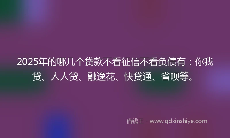 2025年的哪几个贷款不看征信不看负债有：你我贷、人人贷、融逸花、快贷通、省呗等。