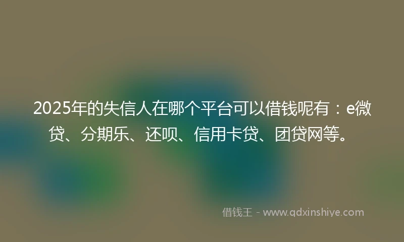 2025年的失信人在哪个平台可以借钱呢有：e微贷、分期乐、还呗、信用卡贷、团贷网等。