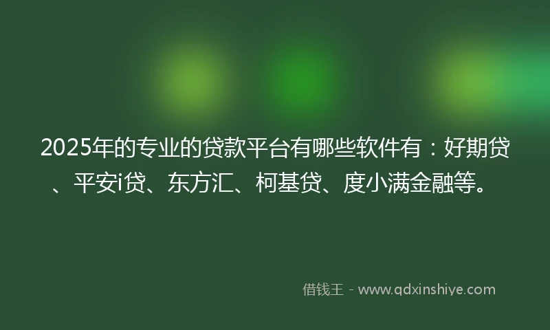 2025年的专业的贷款平台有哪些软件有：好期贷、平安i贷、东方汇、柯基贷、度小满金融等。