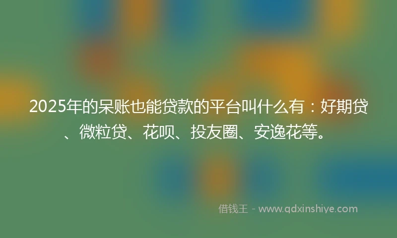 2025年的呆账也能贷款的平台叫什么有：好期贷、微粒贷、花呗、投友圈、安逸花等。