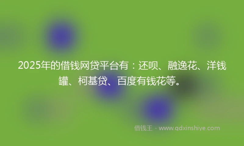 2025年的借钱网贷平台有：还呗、融逸花、洋钱罐、柯基贷、百度有钱花等。