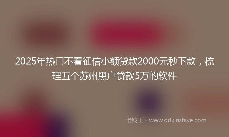 2025年热门不看征信小额贷款2000元秒下款，梳理五个苏州黑户贷款5万的软件