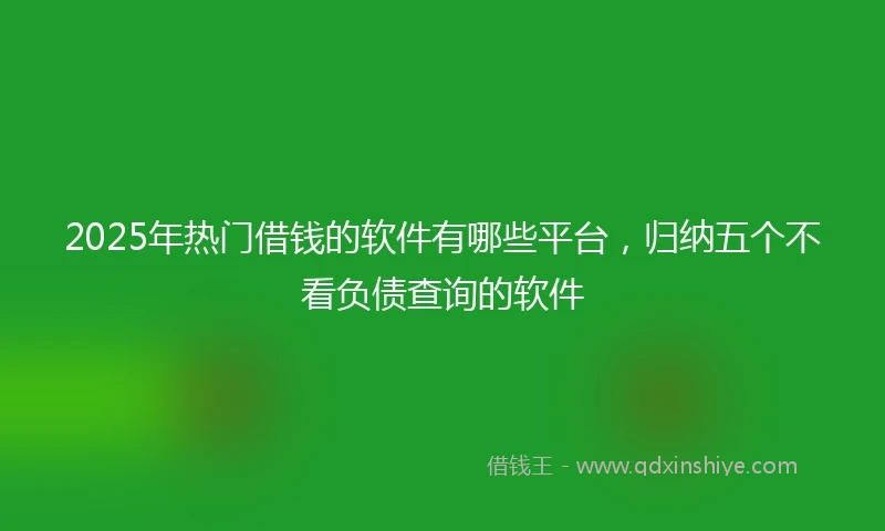 2025年热门借钱的软件有哪些平台，归纳五个不看负债查询的软件