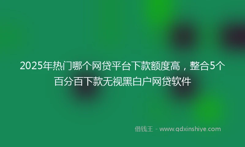 2025年热门哪个网贷平台下款额度高，整合5个百分百下款无视黑白户网贷软件
