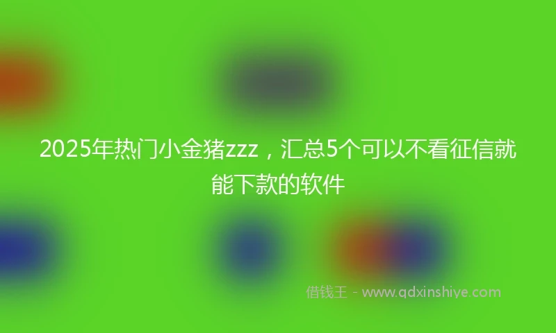 2025年热门小金猪zzz，汇总5个可以不看征信就能下款的软件