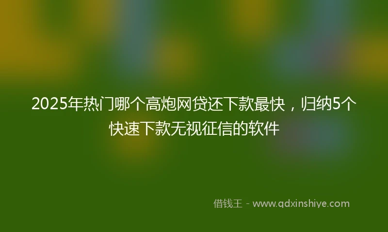 2025年热门哪个高炮网贷还下款最快，归纳5个快速下款无视征信的软件