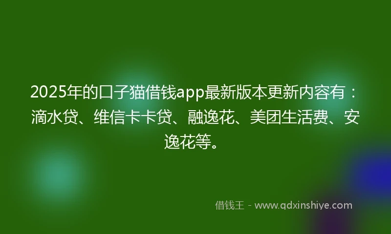 2025年的口子猫借钱app最新版本更新内容有：滴水贷、维信卡卡贷、融逸花、美团生活费、安逸花等。