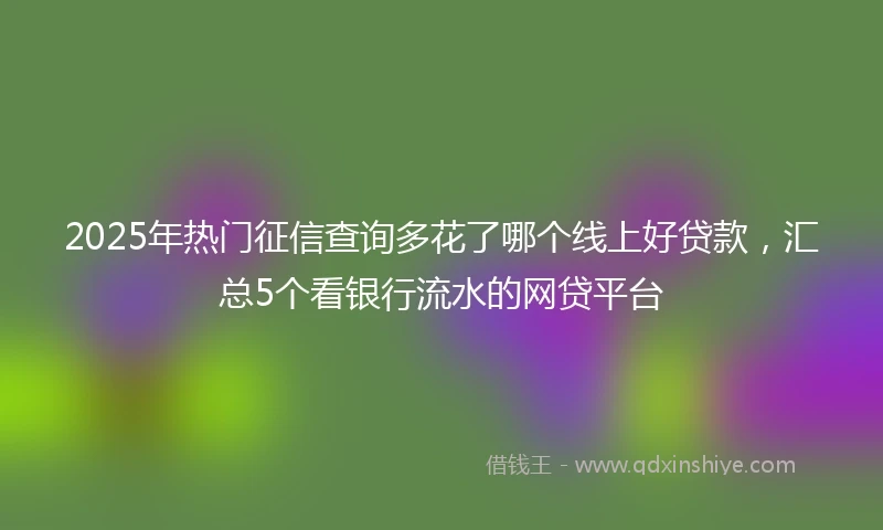 2025年热门征信查询多花了哪个线上好贷款，汇总5个看银行流水的网贷平台