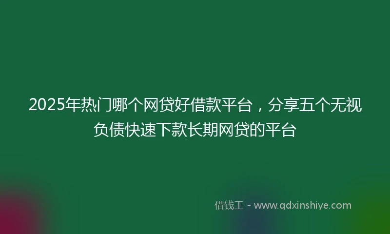 2025年热门哪个网贷好借款平台，分享五个无视负债快速下款长期网贷的平台