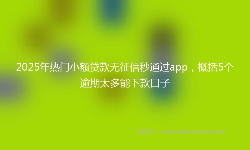 2025年热门小额贷款无征信秒通过app，概括5个逾期太多能下款口子