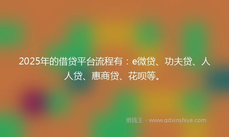 2025年的借贷平台流程有：e微贷、功夫贷、人人贷、惠商贷、花呗等。