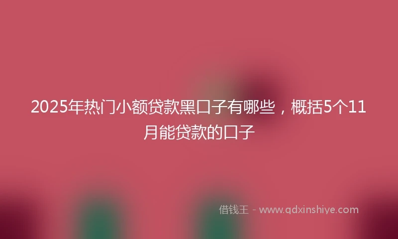 2025年热门小额贷款黑口子有哪些，概括5个11月能贷款的口子