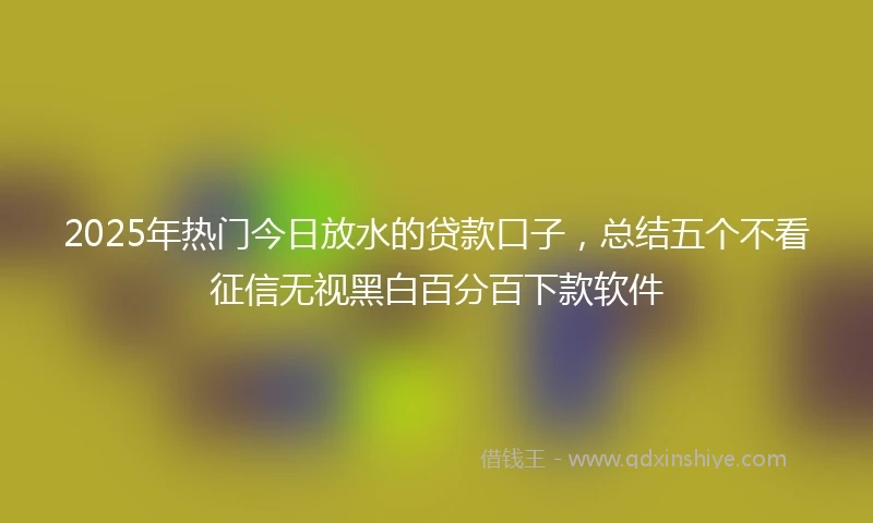 2025年热门今日放水的贷款口子，总结五个不看征信无视黑白百分百下款软件