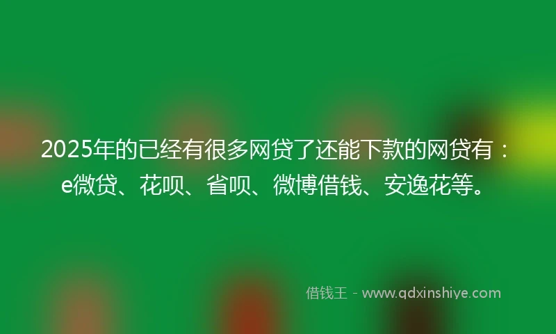 2025年的已经有很多网贷了还能下款的网贷有：e微贷、花呗、省呗、微博借钱、安逸花等。