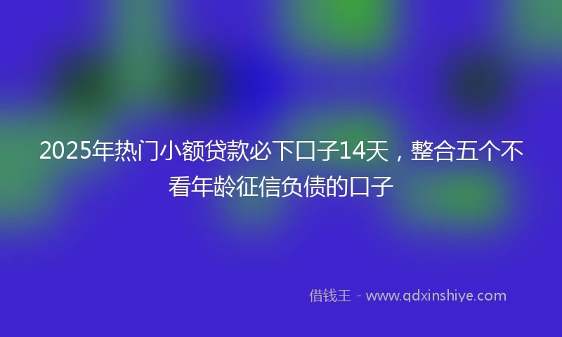 2025年热门小额贷款必下口子14天，整合五个不看年龄征信负债的口子