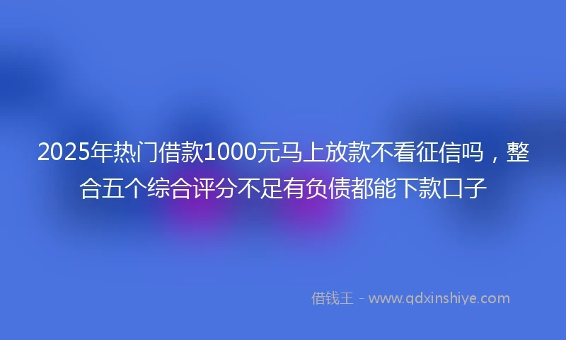 2025年热门借款1000元马上放款不看征信吗，整合五个综合评分不足有负债都能下款口子