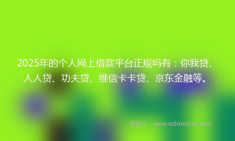 2025年的个人网上借款平台正规吗有：你我贷、人人贷、功夫贷、维信卡卡贷、京东金融等。